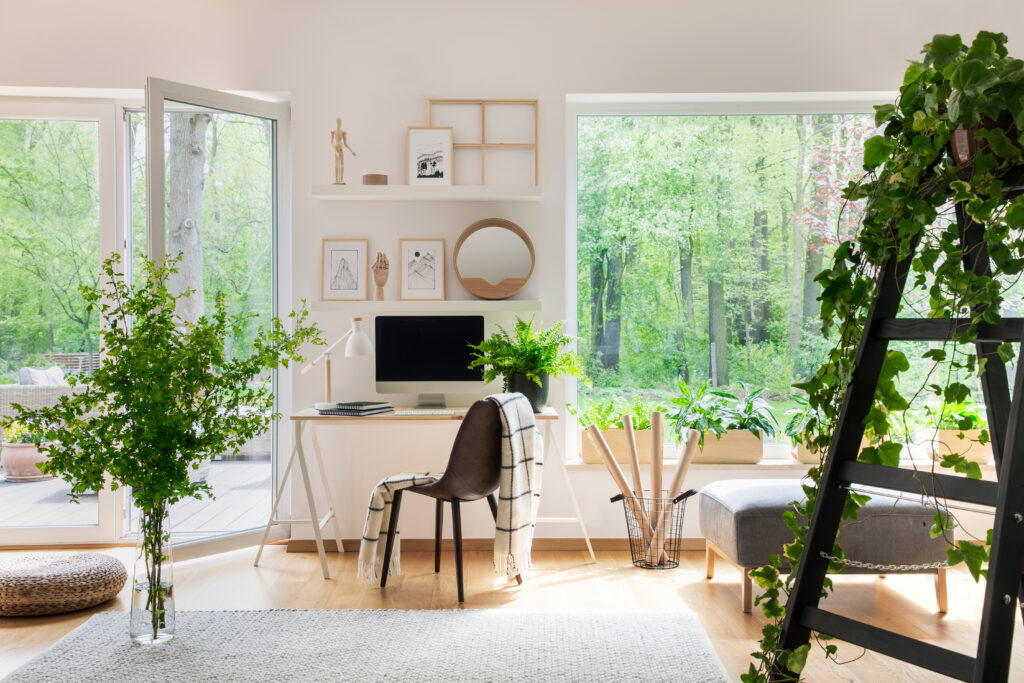 Online Feng Shui